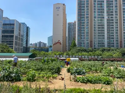 문래도시텃밭