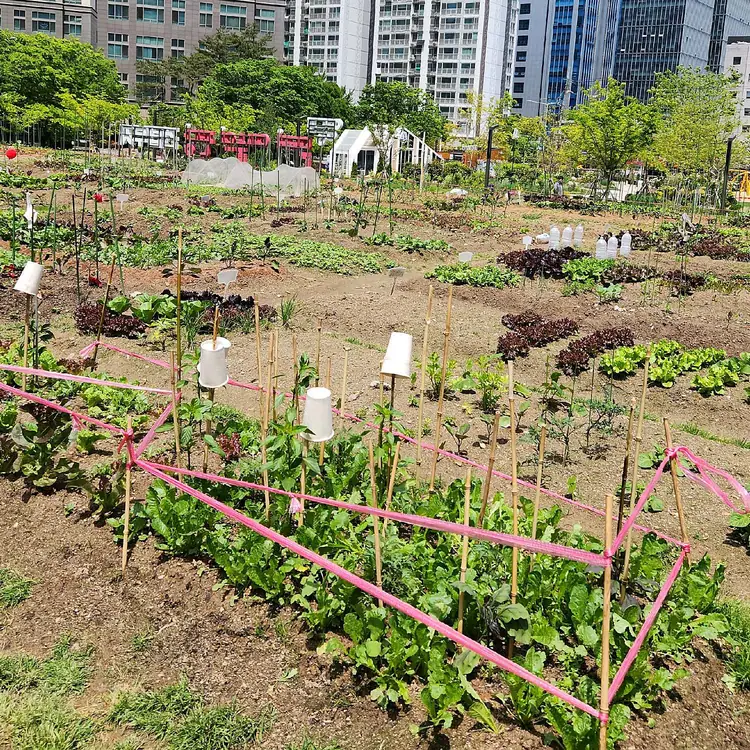 문래도시텃밭 사진 2