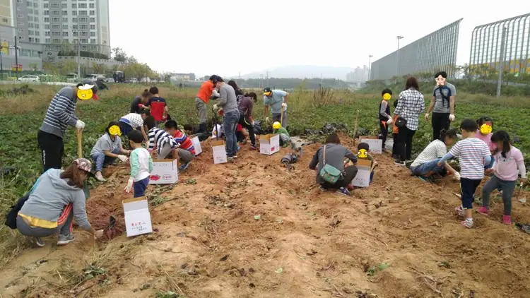 새말햇살농장 사진 4