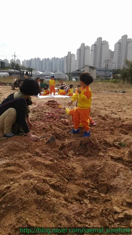 새말햇살농장 사진 5